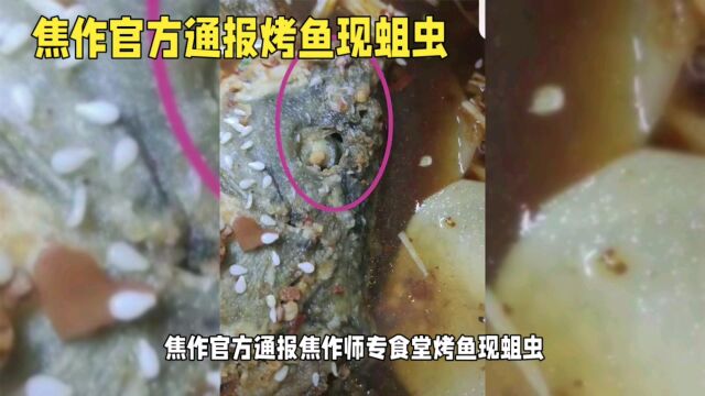 高校食堂烤鱼现蛆虫官方通报