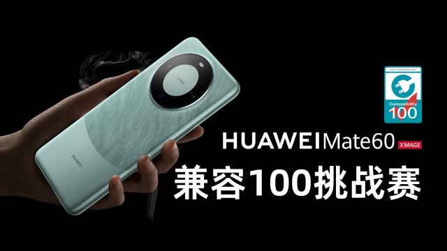 兼容100挑战赛:标准版的华为 Mate 60 充电兼容性如何?充电头网实测百个充电设备为你揭晓