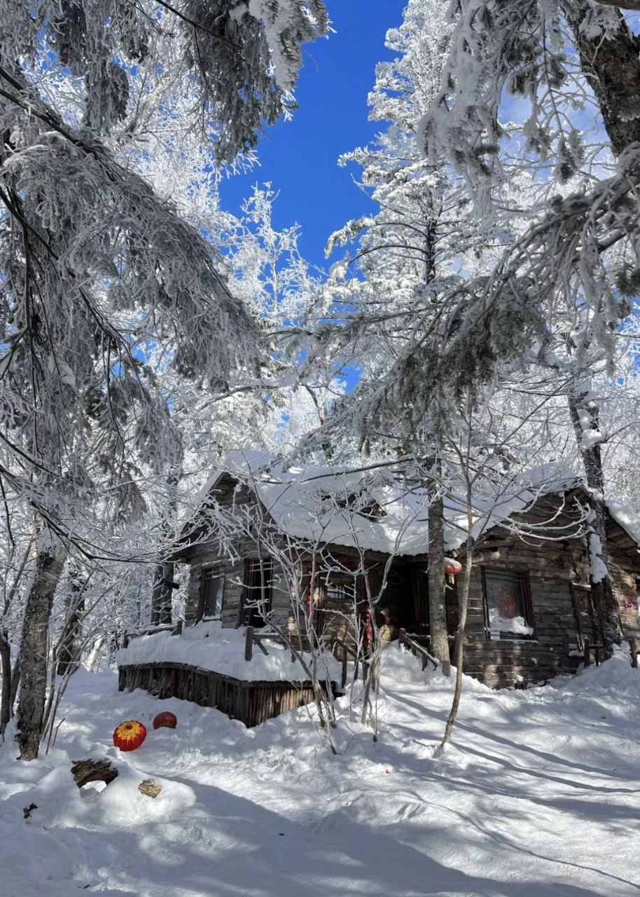 暴雪橙色预警东北这次强降雪下到发紫