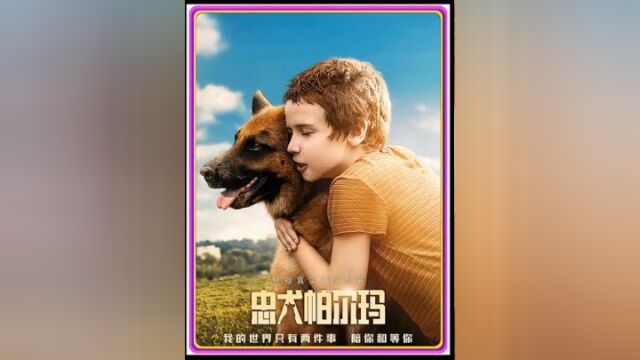 忠犬帕尔玛1