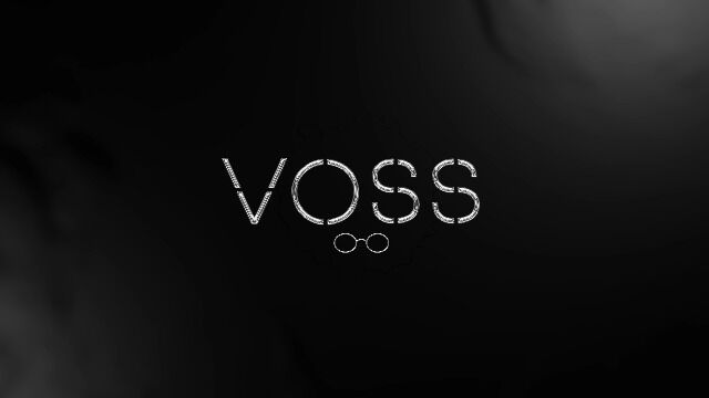 VOSS眼镜