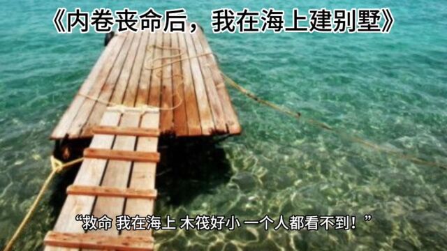 《内卷丧命后,我在海上建别墅》陆星辰(全文阅读)