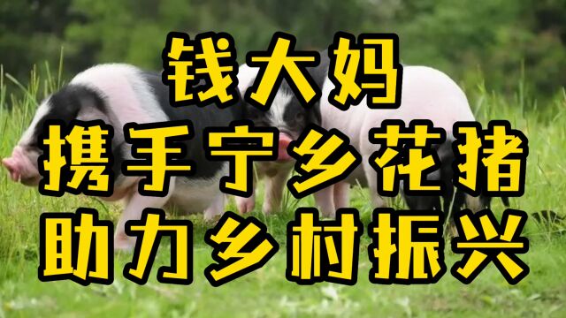 钱大妈与楚沩香签约,携手宁乡花猪兴乡助农