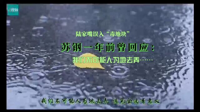 陆家嘴误入“毒地块”,苏钢:我们不可能人为地去弄,这完全没有意义……