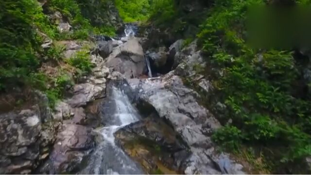 吉林老白山:伐木场变身风景区,绿色转型初见成效