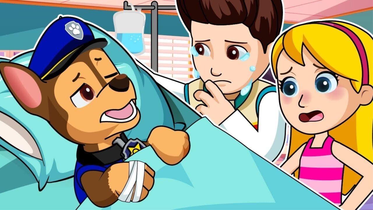 汪汪队立大功:阿奇被莱德赶走后掉下悬崖,它能成功回到基地吗?