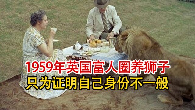 实录1959年,英国富人同狮子共进午餐,只为证明自己身份不一般