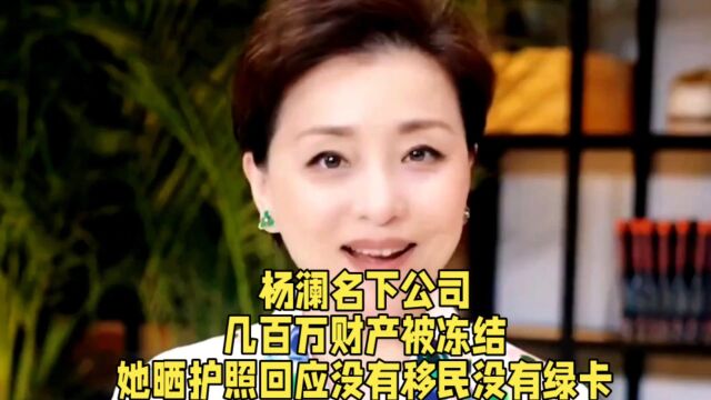 杨澜名下公司,几百万财产被冻结,她晒护照回应没有移民没有绿卡.