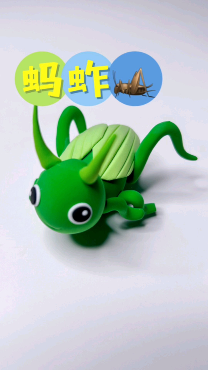 超轻粘土奇妙的昆虫——蚂蚱