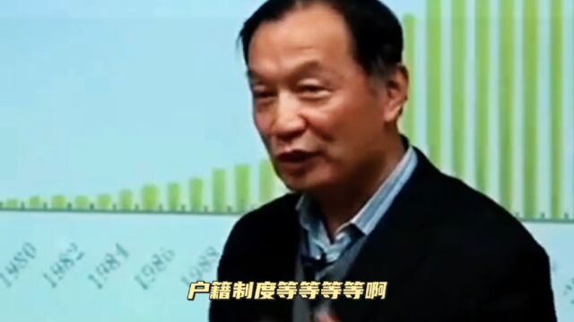 温铁军教授:中国经济问题