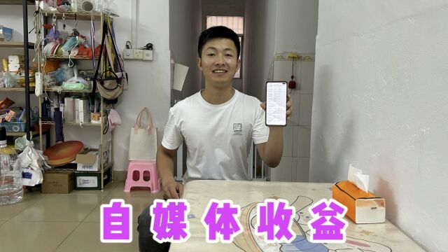 拍视频2年多,小罗公开后台收益,28万粉丝一个月能挣多少钱?