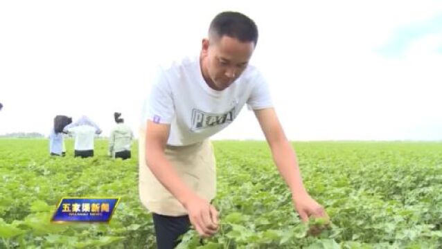 【视频】6月30日五家渠新闻