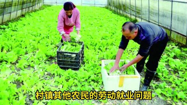 农民有必要办家庭农场吗?农民办家庭农场有什么好处和坏处?