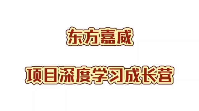 东方嘉威项目深度学习成长营