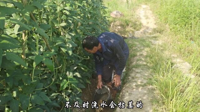 相比大城市的繁华,我更喜欢小县城的简单