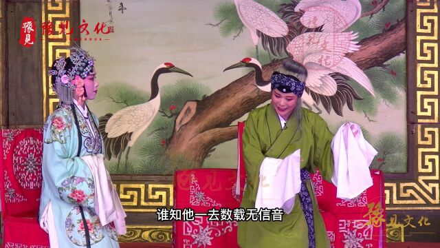 豫西调《孙淑林表家》,张盼盼饰演孙淑林,《八珍汤》经典选段!