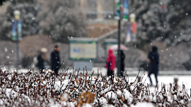 青海发布双预警 多地将出现寒潮并伴有雨雪天气