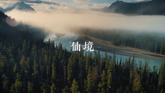 经典音乐《Wonderland》,一首为灵魂疗伤的唯美旋律