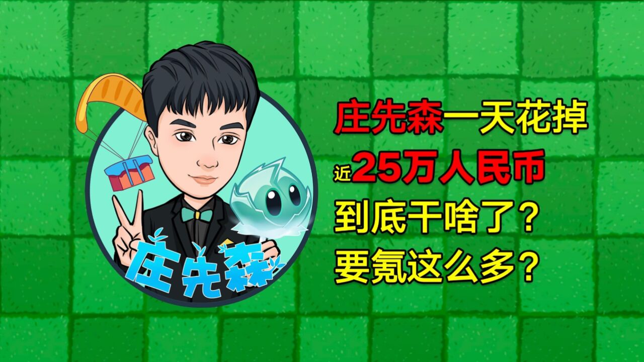 vlog：庄先森一天花了25万人民币！猜猜看是如何花掉的？_腾讯视频