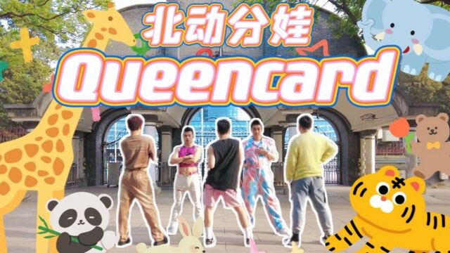 是Queencard不是0card!全网最社牛的Queencard现场 | 动物园银行打歌舞台