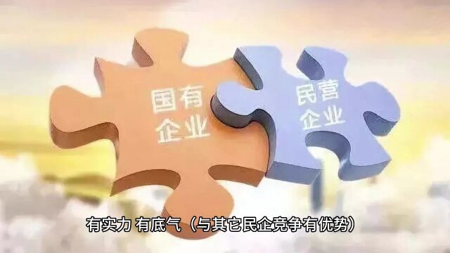 国企混改引进的民营企业提升企业的管理水平与竞争力