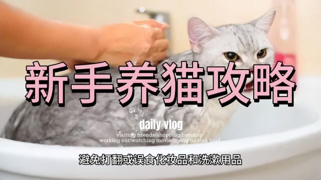 保姆级新手养猫攻略:养猫前准备环境