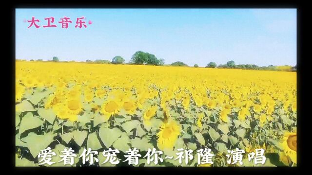 祁隆演唱【爱着你宠着你】太动情了,送给宠爱的女人