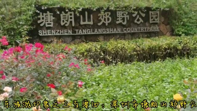 广东旅游印象之三百零四:深圳市塘朗山郊野公园