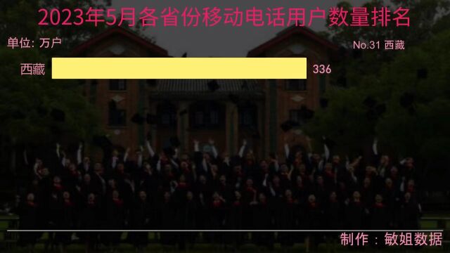 2023年5月各省份移动电话用户数量排名