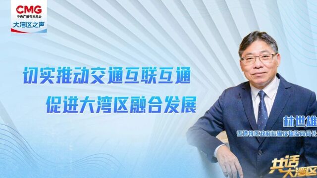 共话大湾区|林世雄:大湾区融合发展是大势所趋