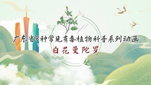 广东省8种常见有毒植物科普系列动画 - 第3集：白花曼陀罗