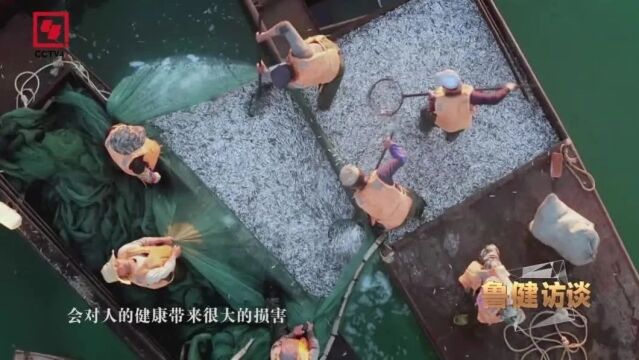 赤潮“消防员”俞志明用中国方案守护蔚蓝海洋 | 鲁健访谈