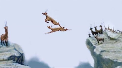 6只羚羊飞跃悬崖，镜头拍下全过程！网友：原来课本上都是骗人的