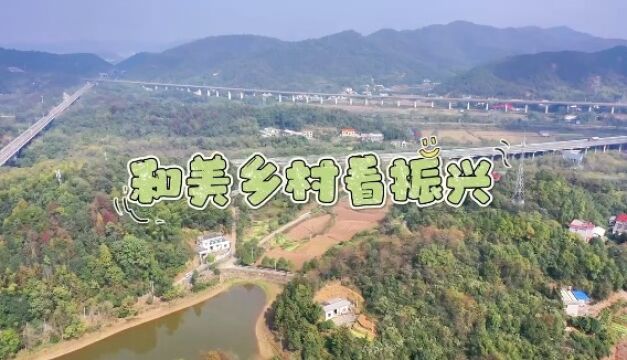 乡村振兴看湘潭ⷥ’Œ美“湘”村篇③丨借“绿”生金 岳塘区红旗村打好产业增质、增色、增收“组合拳”