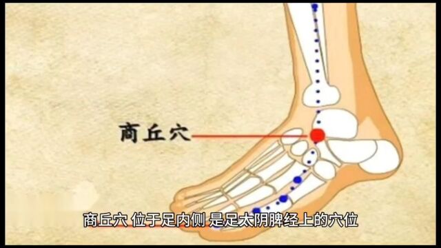 穴位小知识,商丘穴:你的“人生穴位”,轻松解锁人生商机!