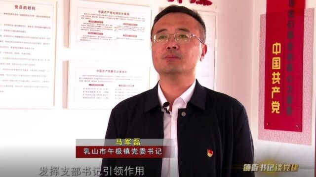 镇街书记谈党建|午极镇:党建引领促振兴 奏响发展“最强音”