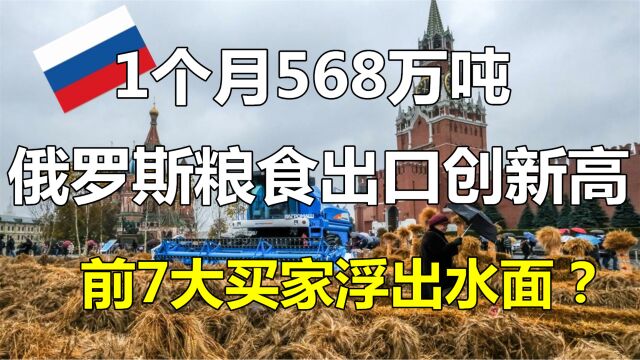 创历史新高:俄罗斯1个月出口粮食568万吨!最大的7个买家出炉?