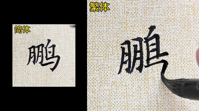 教你如何书写“鹏”的繁体字