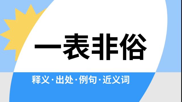 “一表非俗”是什么意思?