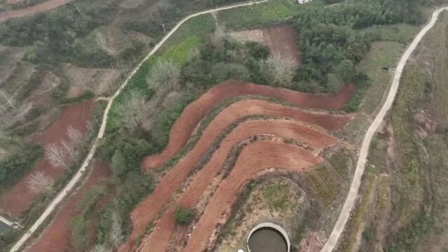 中国式现代化建设河南寻访之旅第四站:奔南阳!