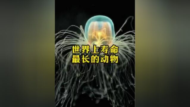 你还知道有哪些寿命最长的动物呢?