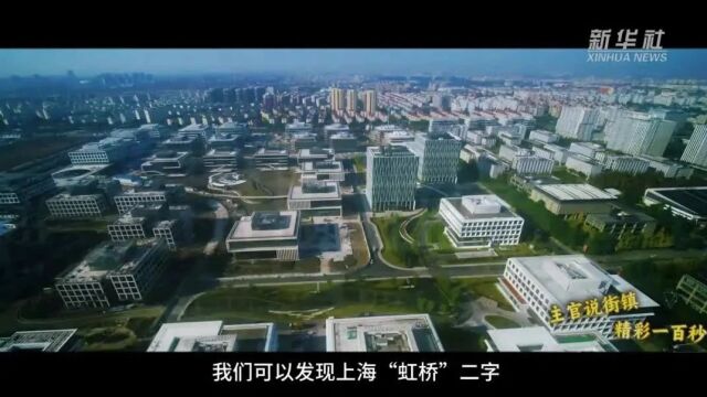 新华社关注:闵行这个镇如何从“菜篮子”基地变身“亿元楼”聚集地