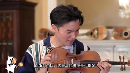 小提琴家陈锐带你沉浸式体验选购小提琴