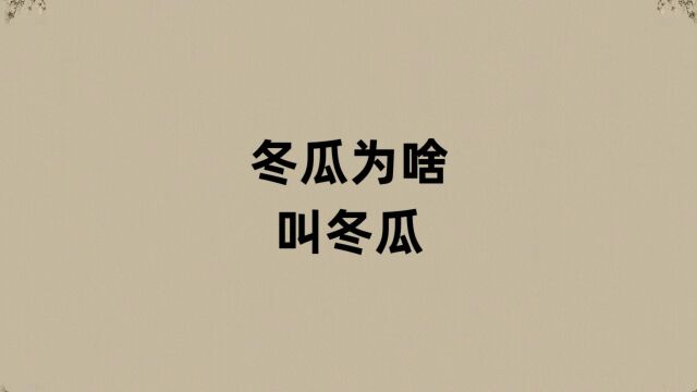 冬瓜为啥叫冬瓜?