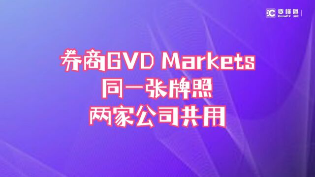 要懂汇:券商GVD Markets,同一张牌照两家公司共用