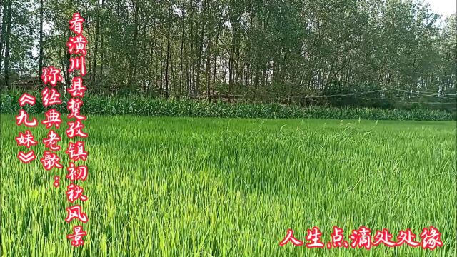 人生点滴:美丽的潢川县踅孜镇初秋风景