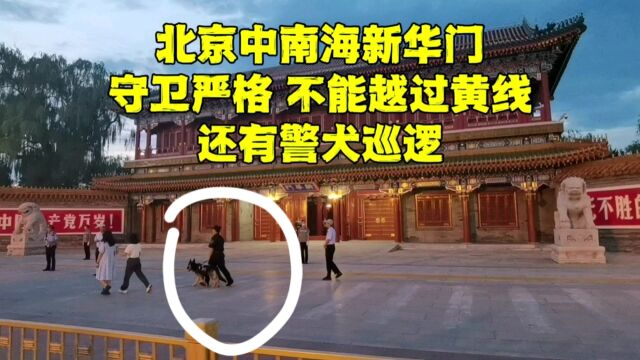 来到北京中南海新华门,守卫严格不能越过黄线,为何有警犬巡逻?