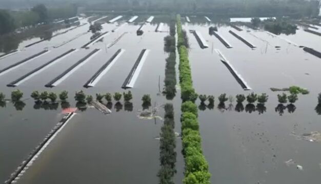 东淀蓄滞洪区内第六埠村,最新航拍画面→