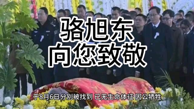 骆旭东副市长,向您致敬