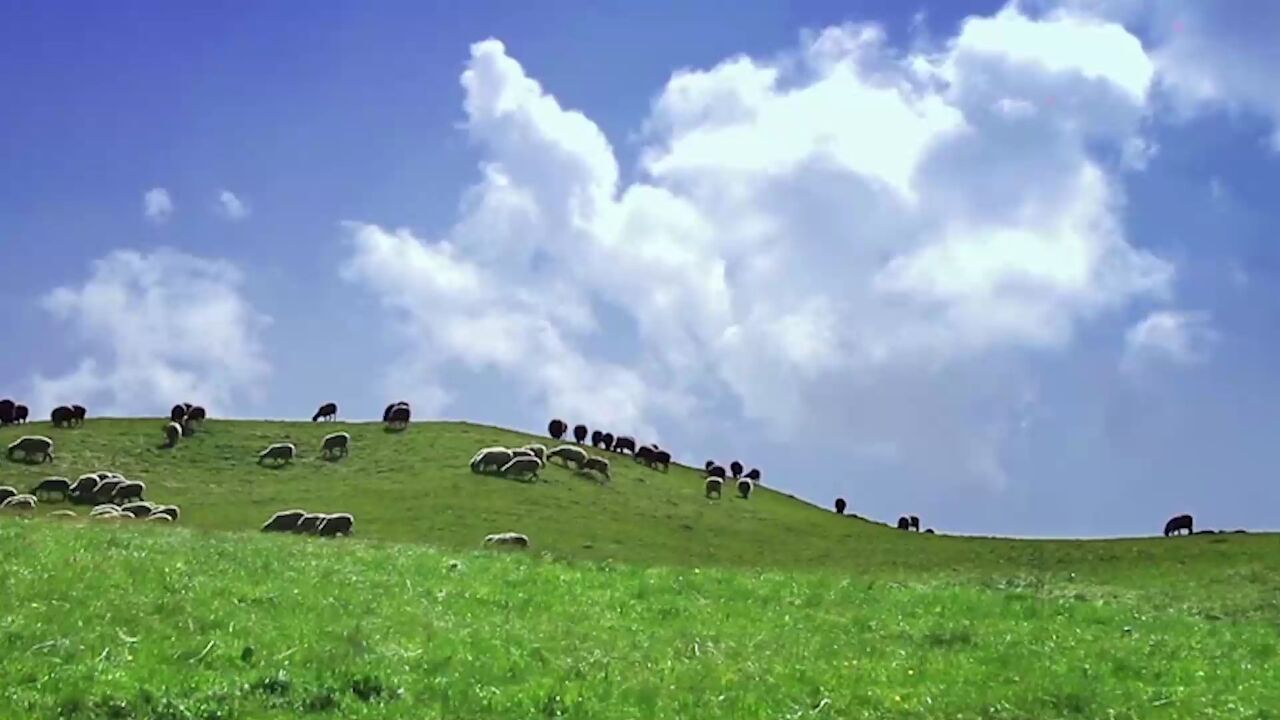 阿斯满经典歌曲《骑车到拉萨》深情又好听,温暖了几代人